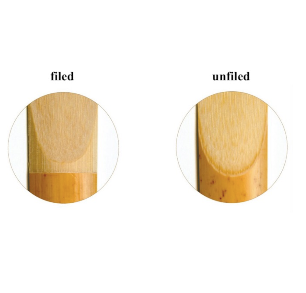 file yn field
